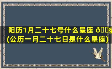 阳历1月二十七号什么星座 🐧 (公历一月二十七日是什么星座)